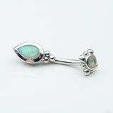 Beaded Pear Curved Barbell with White Opal AA in 14k White Gold